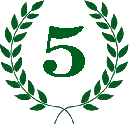 Diploma 5º puesto