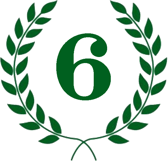 Diploma 6º puesto