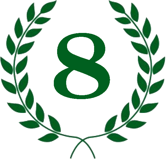 Diploma 8º puesto